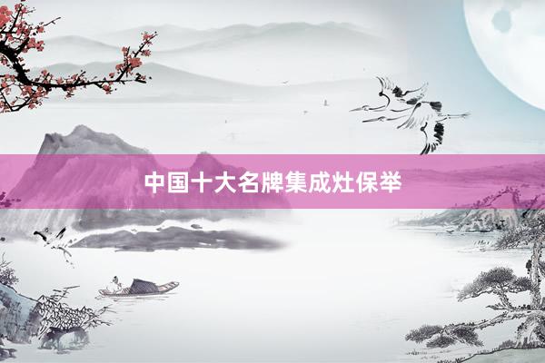 中国十大名牌集成灶保举