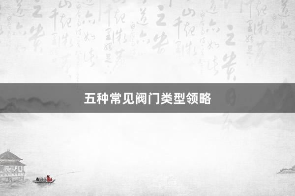 五种常见阀门类型领略