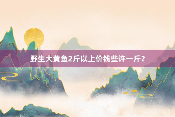 野生大黄鱼2斤以上价钱些许一斤？