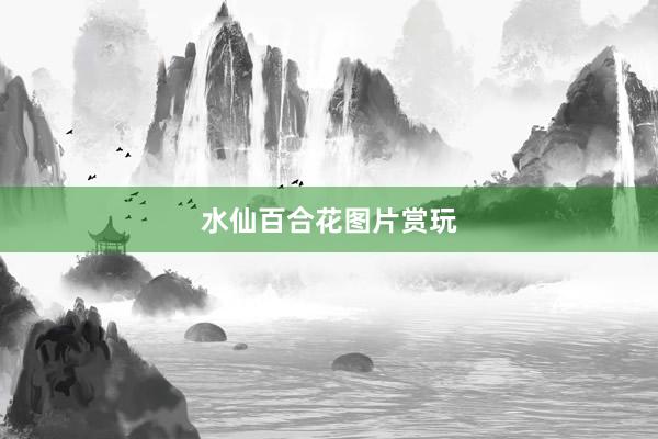 水仙百合花图片赏玩