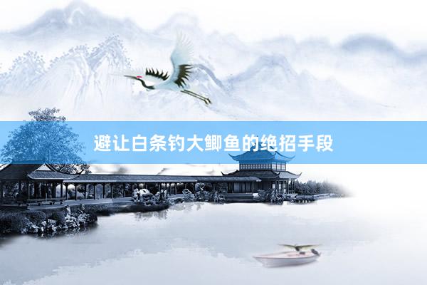 避让白条钓大鲫鱼的绝招手段