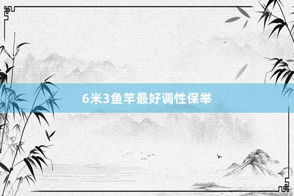6米3鱼竿最好调性保举